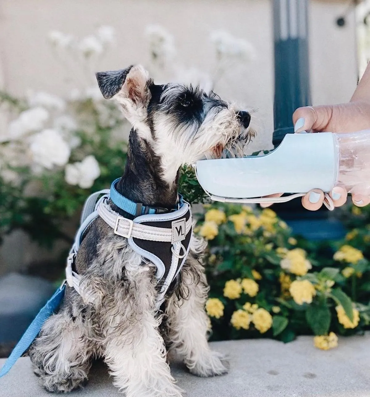 2 IN 1 PORTABLE PET FEEDER - LIGHT GREY