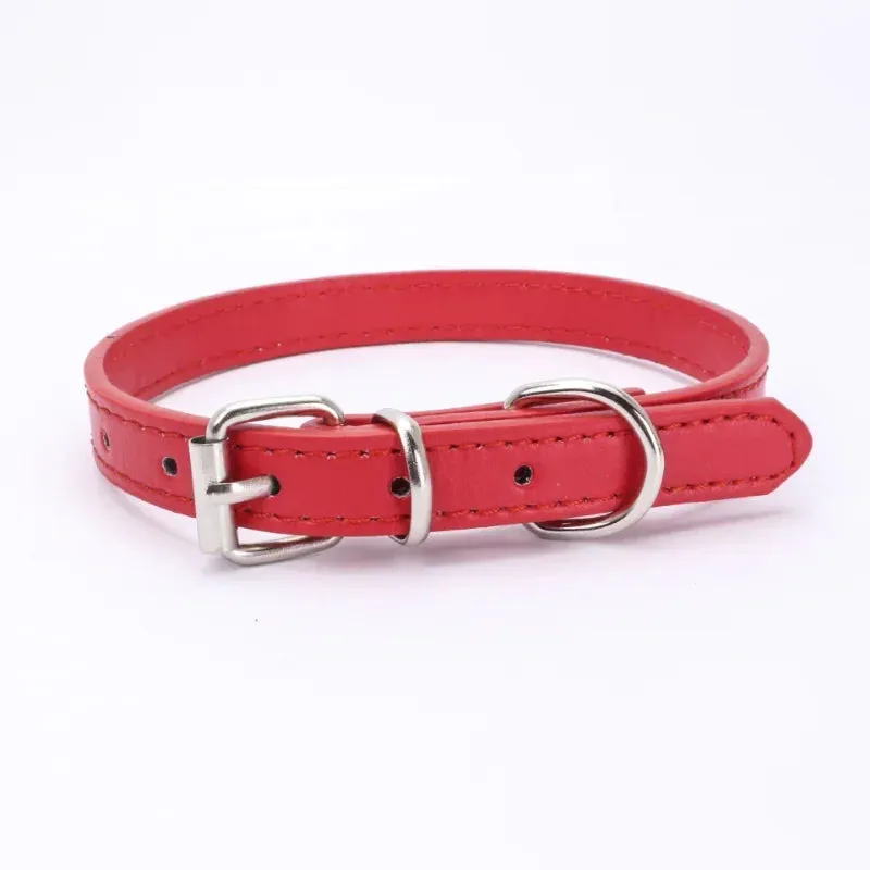 Adjustable Leather Dog and Cat Collar with Alloy Buckle