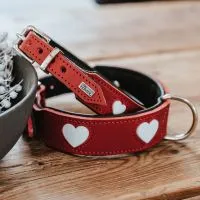 Alpen LOVE Collars