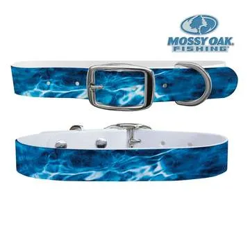 C4 Waterproof Dog Collar