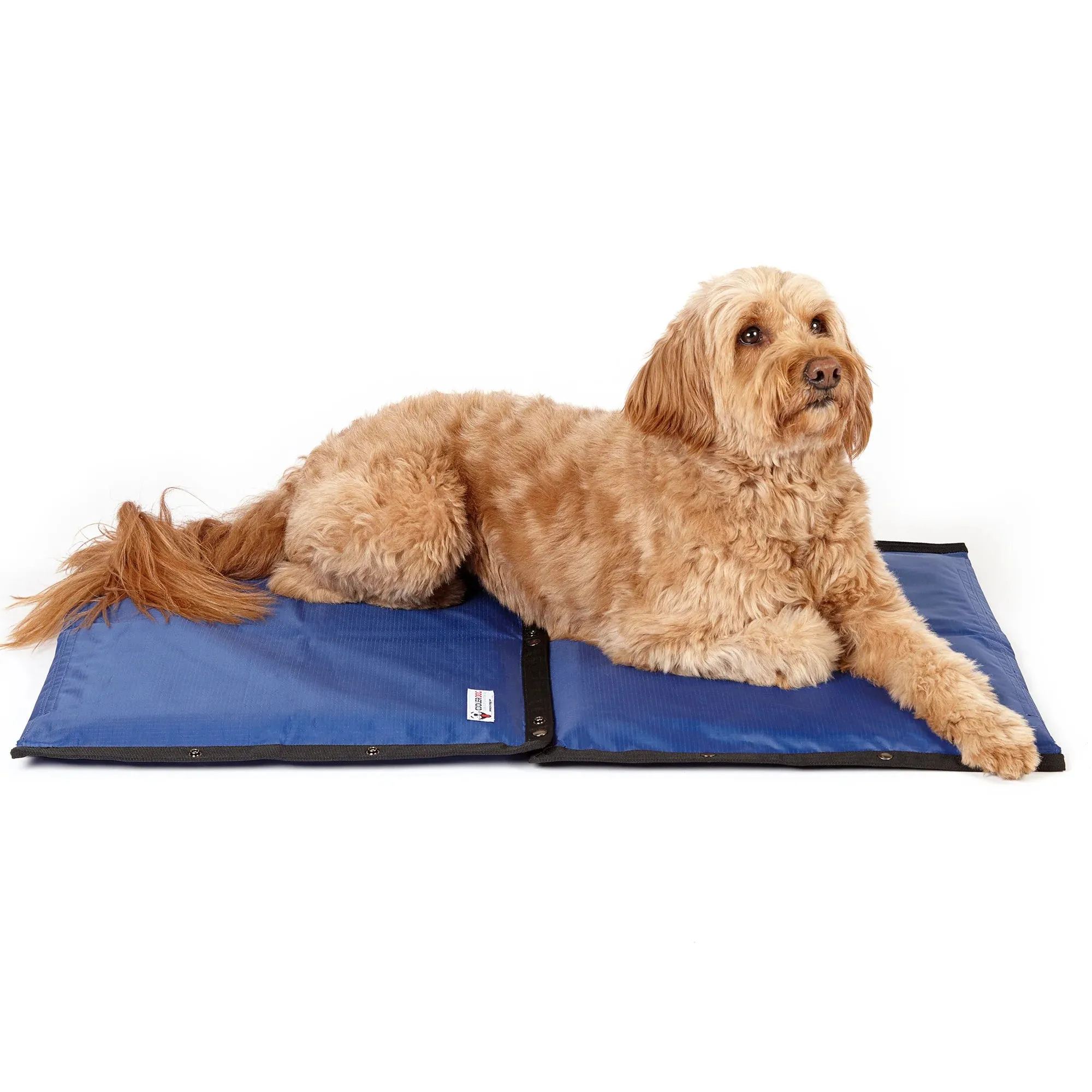 Cooler Dog Hydro Cooling Mat