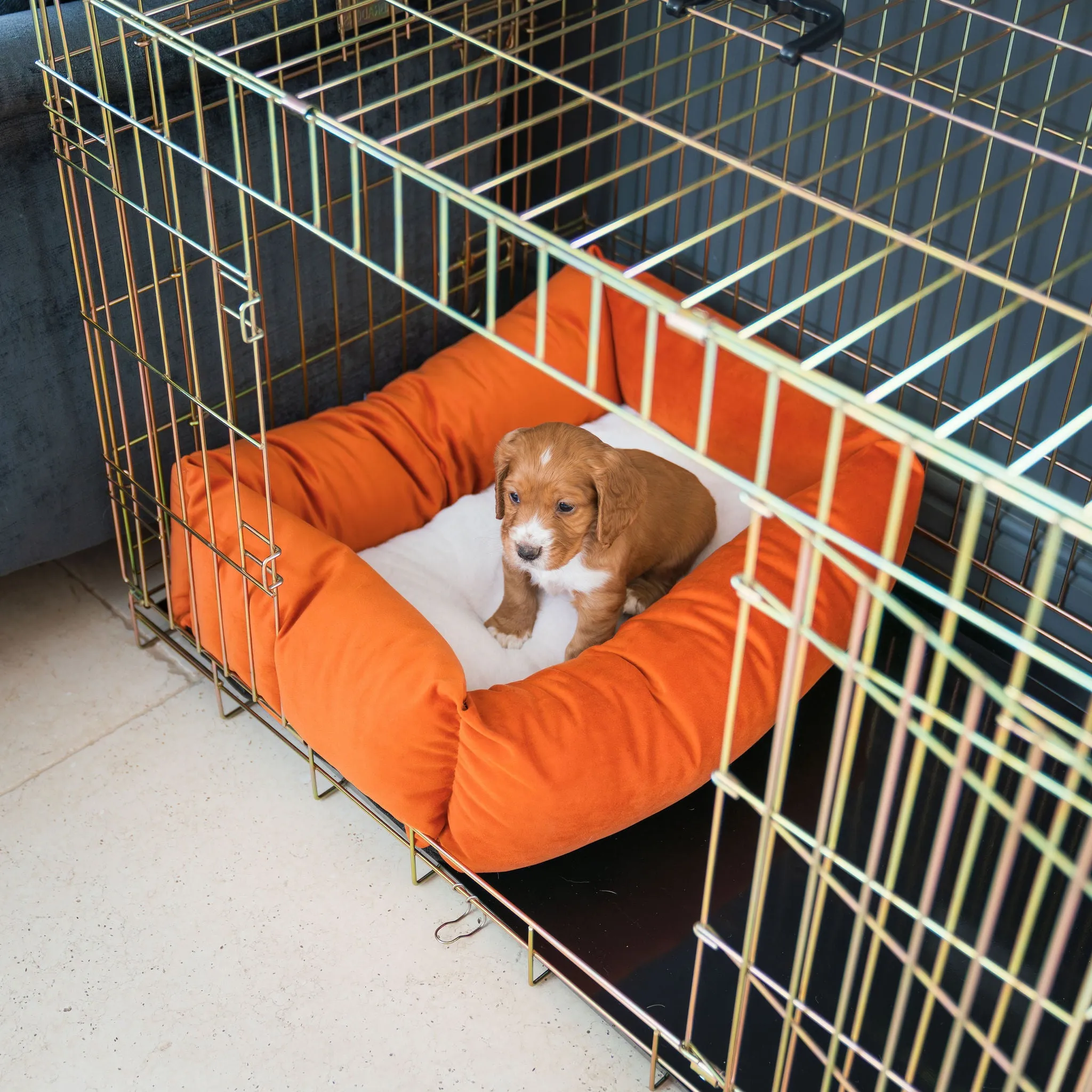 Cosy & Calming Puppy Crate Bed With Removable Covers In Pumpkin Velvet By Lords & Labradors