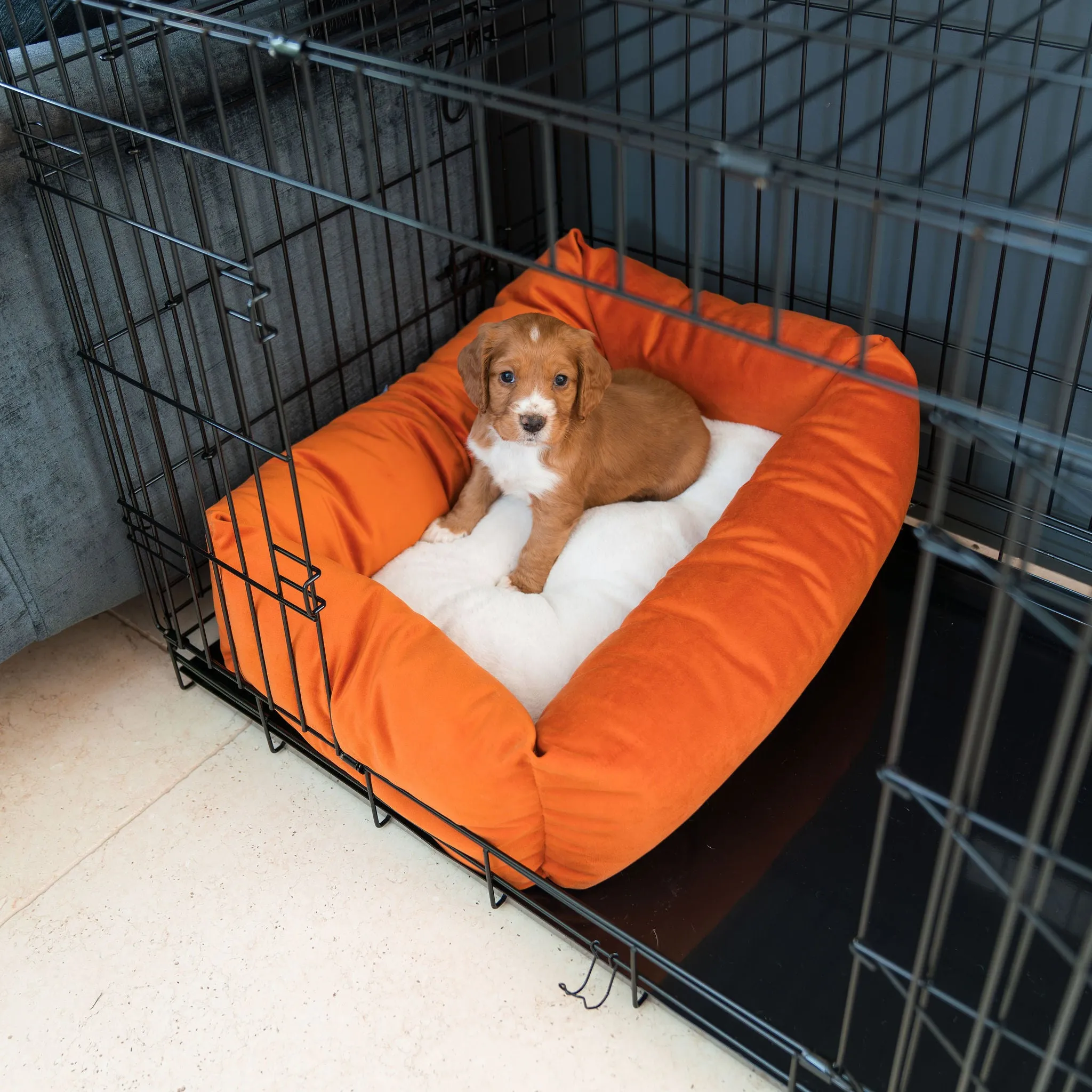 Cosy & Calming Puppy Crate Bed With Removable Covers In Pumpkin Velvet By Lords & Labradors