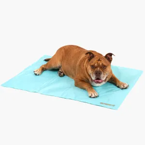 Dog Friendly Co. Dog Cooling Mat Sky Blue