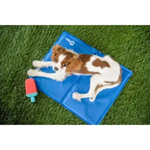 Go Fresh Pet Ice Cooling Mat