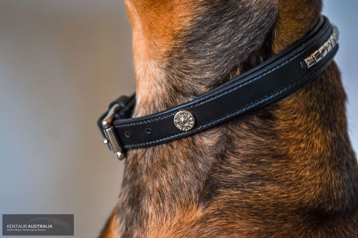 Kentaur 'Semi-Roll' Dog Collar