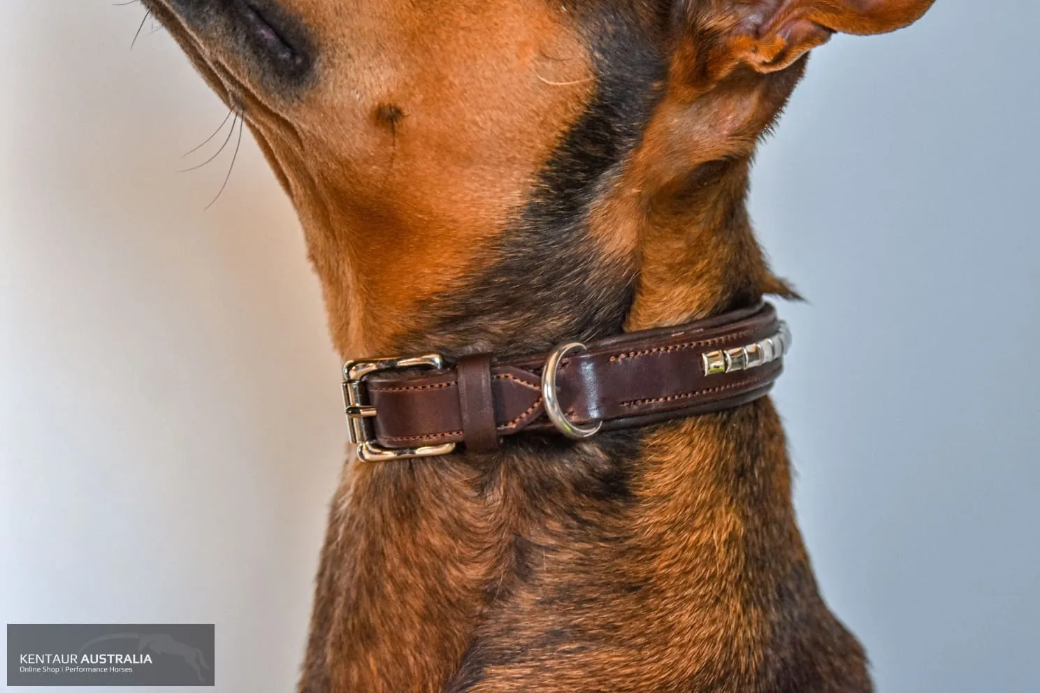 Kentaur 'Semi-Roll' Dog Collar