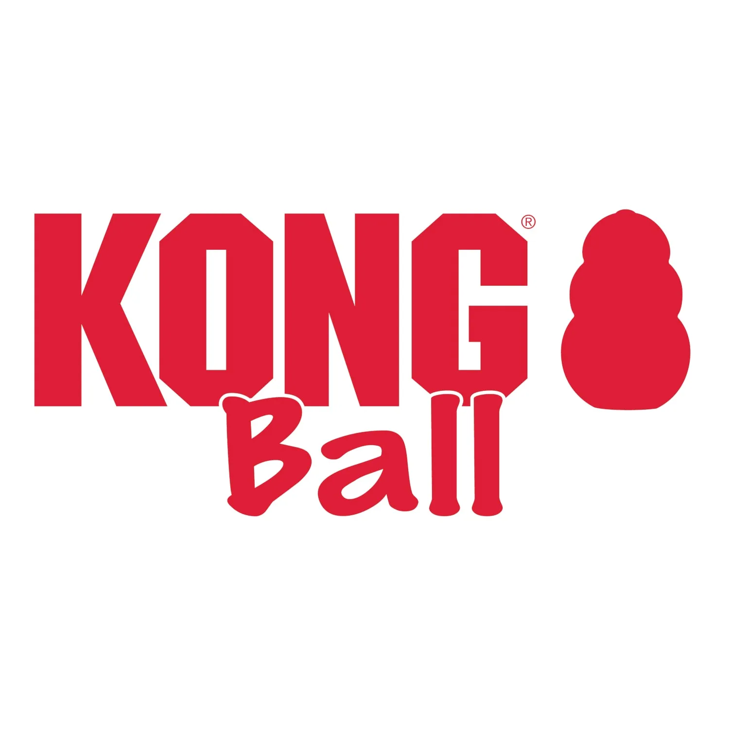 KONG Ball with Hole