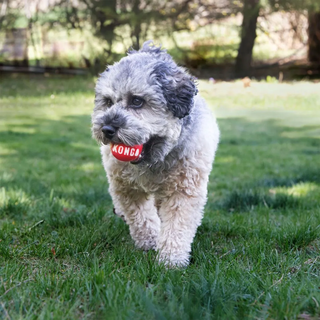 KONG Durable High Bounce Signature Dog Fetch Balls 2 pack Medium