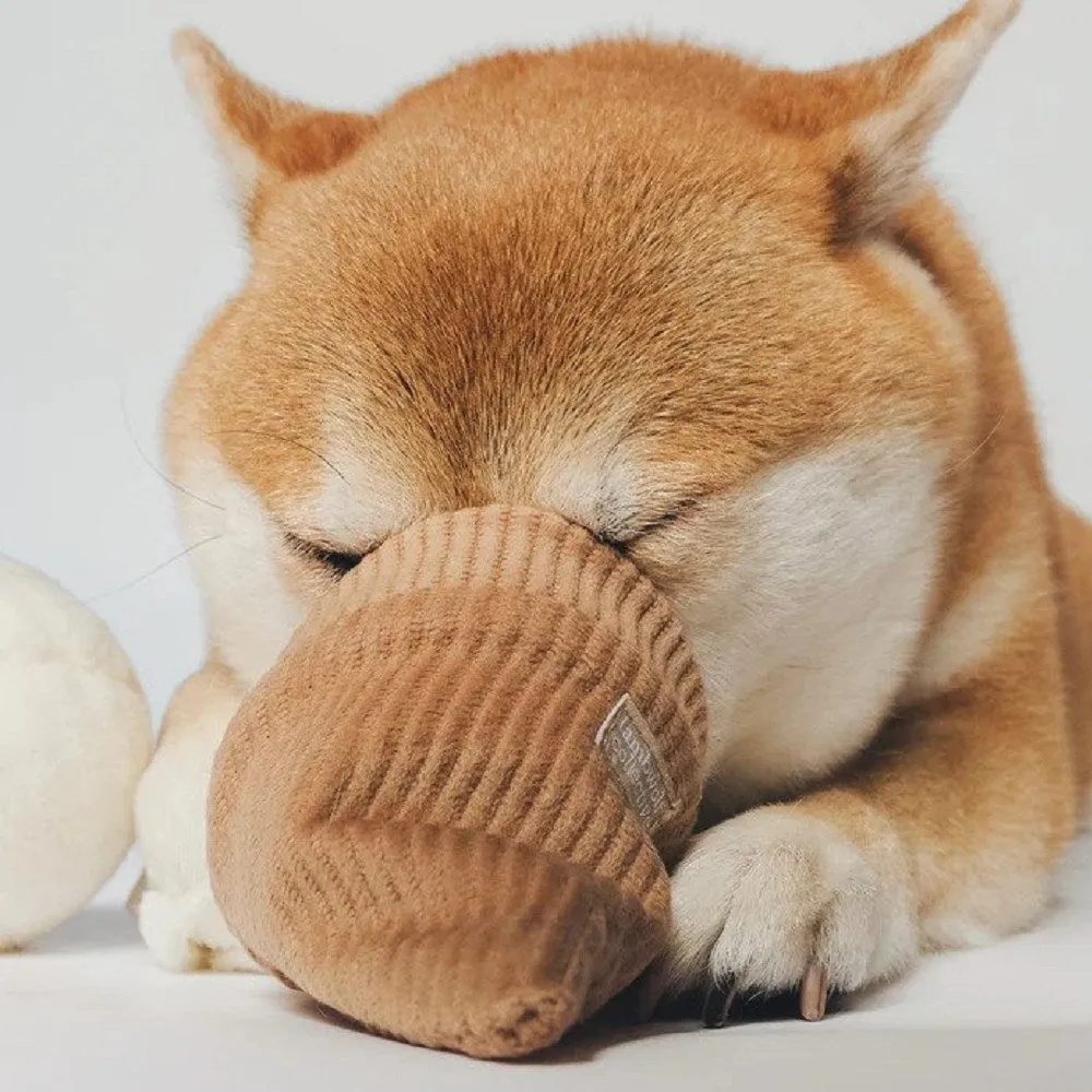 Pop Ice Cream Dog Toy