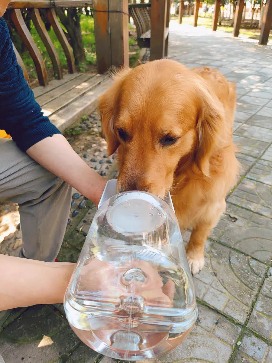 Portable 2-in-1 Dog Water Bottle & Food Container