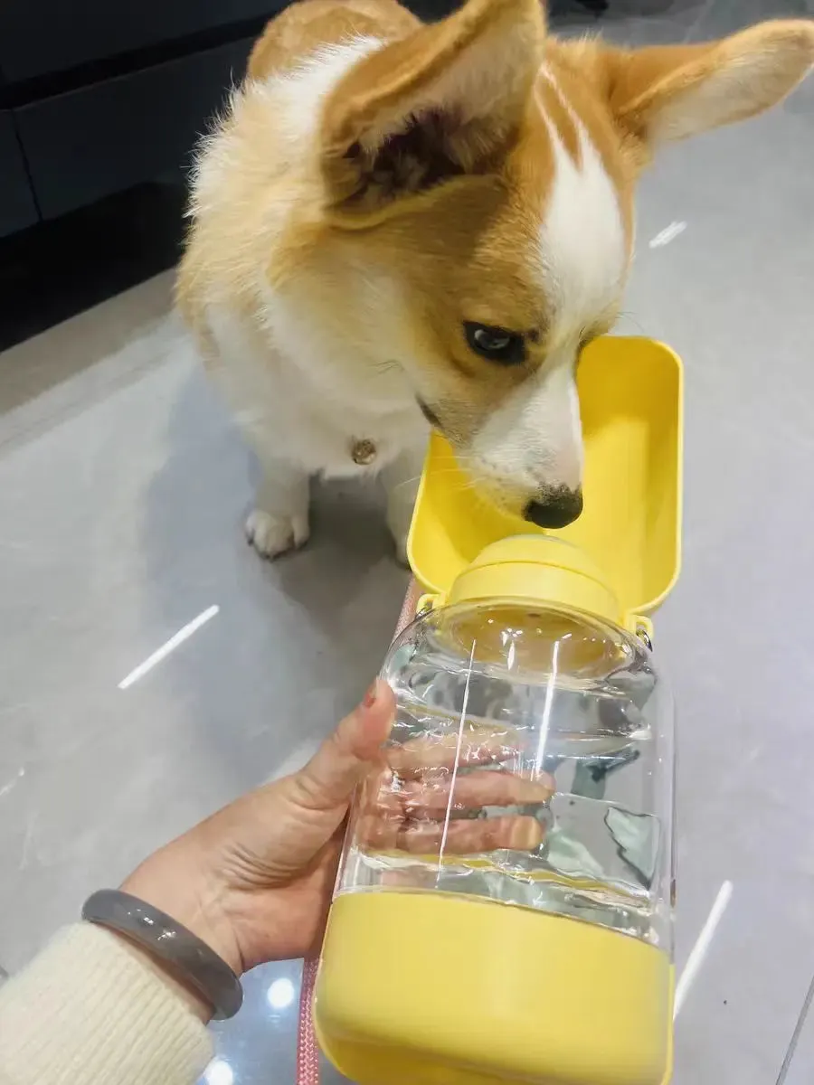 Portable 2-in-1 Dog Water Bottle & Food Container