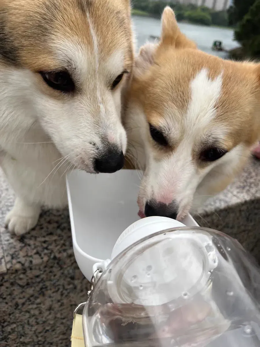 Portable 2-in-1 Dog Water Bottle & Food Container