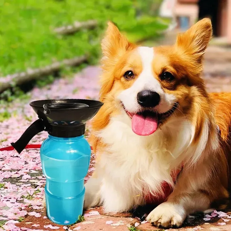 Portable Pet Water Bottle for Dogs and Cats