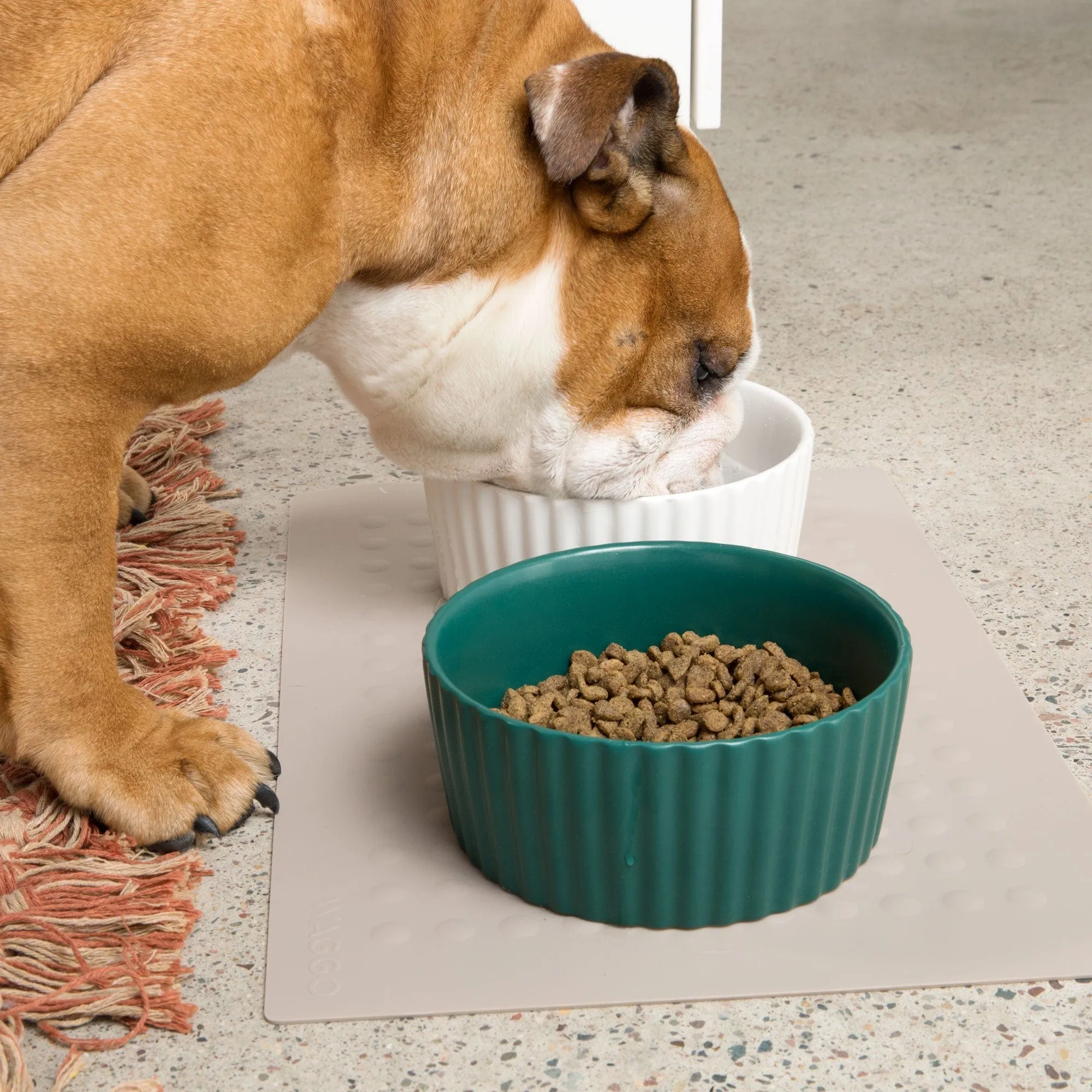 Ripple Ceramic Dog Bowl by Waggo