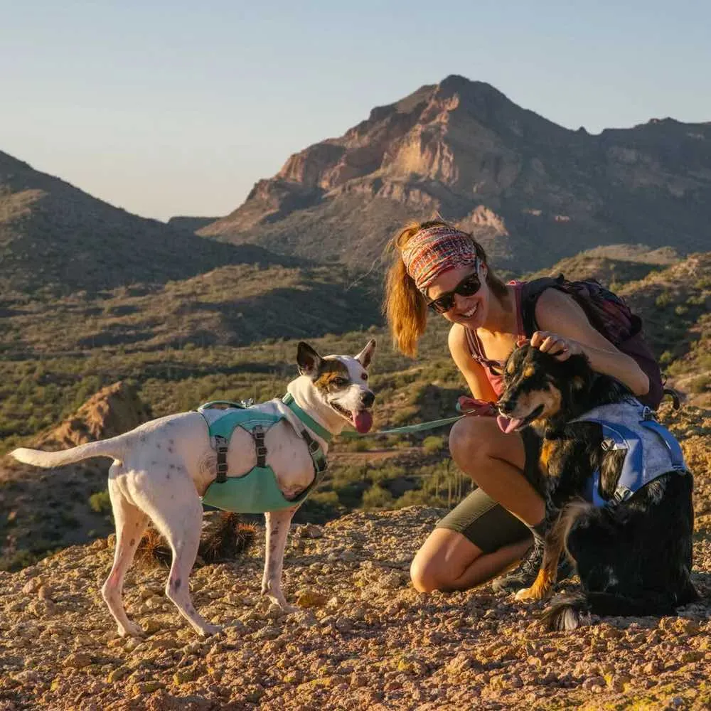 Ruffwear Swamp Cooler Cooling Handled Dog Harness (Sage Green)