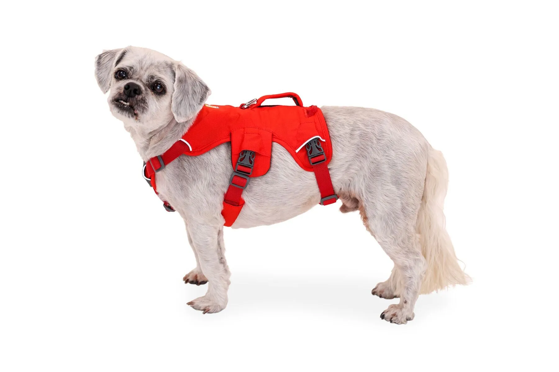 Ruffwear Web Master Harness