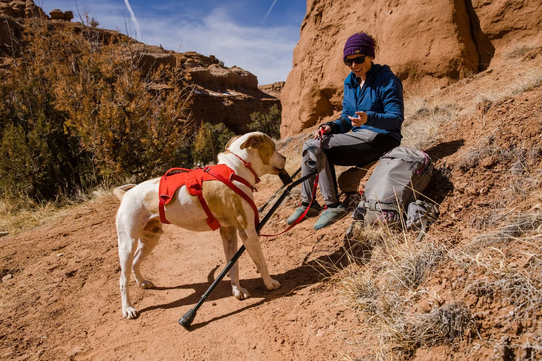 Ruffwear Web Master Harness