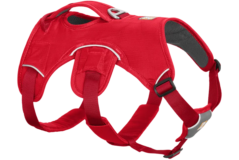 Ruffwear Web Master Harness