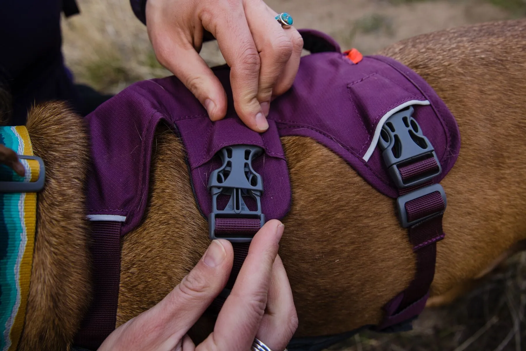 Ruffwear Web Master Harness