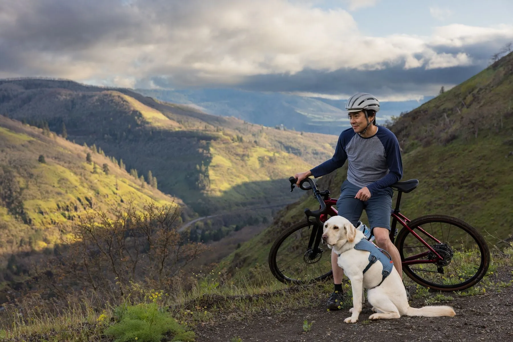 Ruffwear Web Master Harness