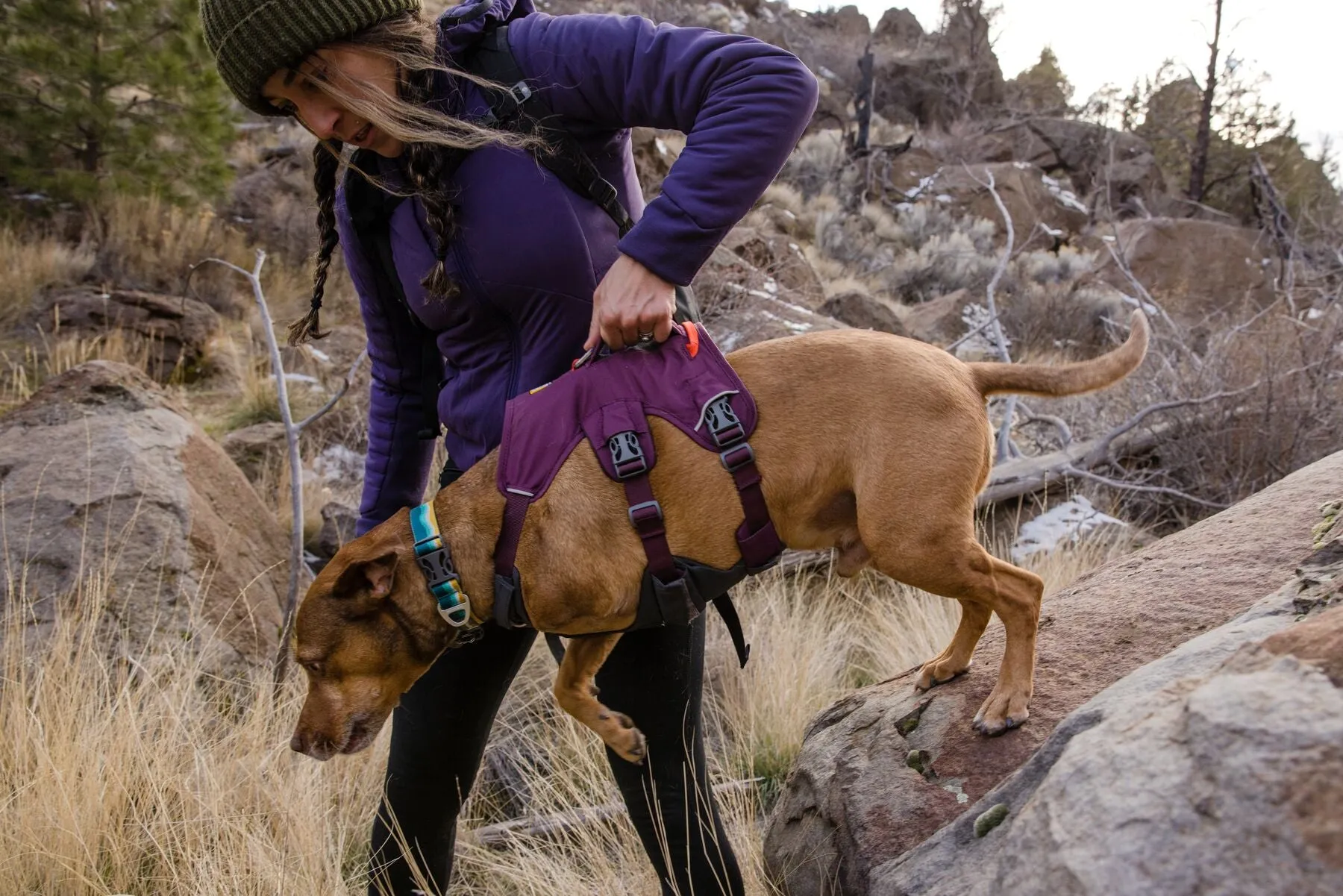 Ruffwear Web Master Harness