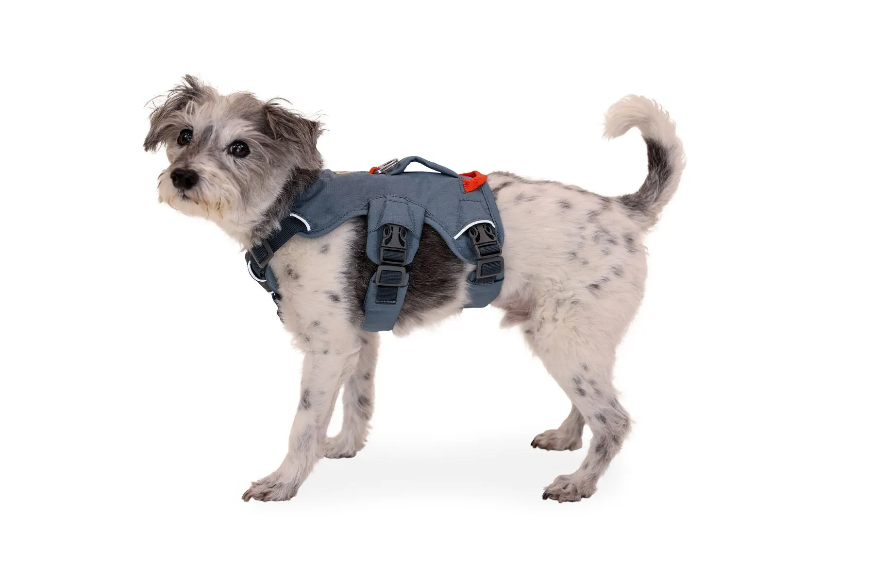 Ruffwear Web Master Harness