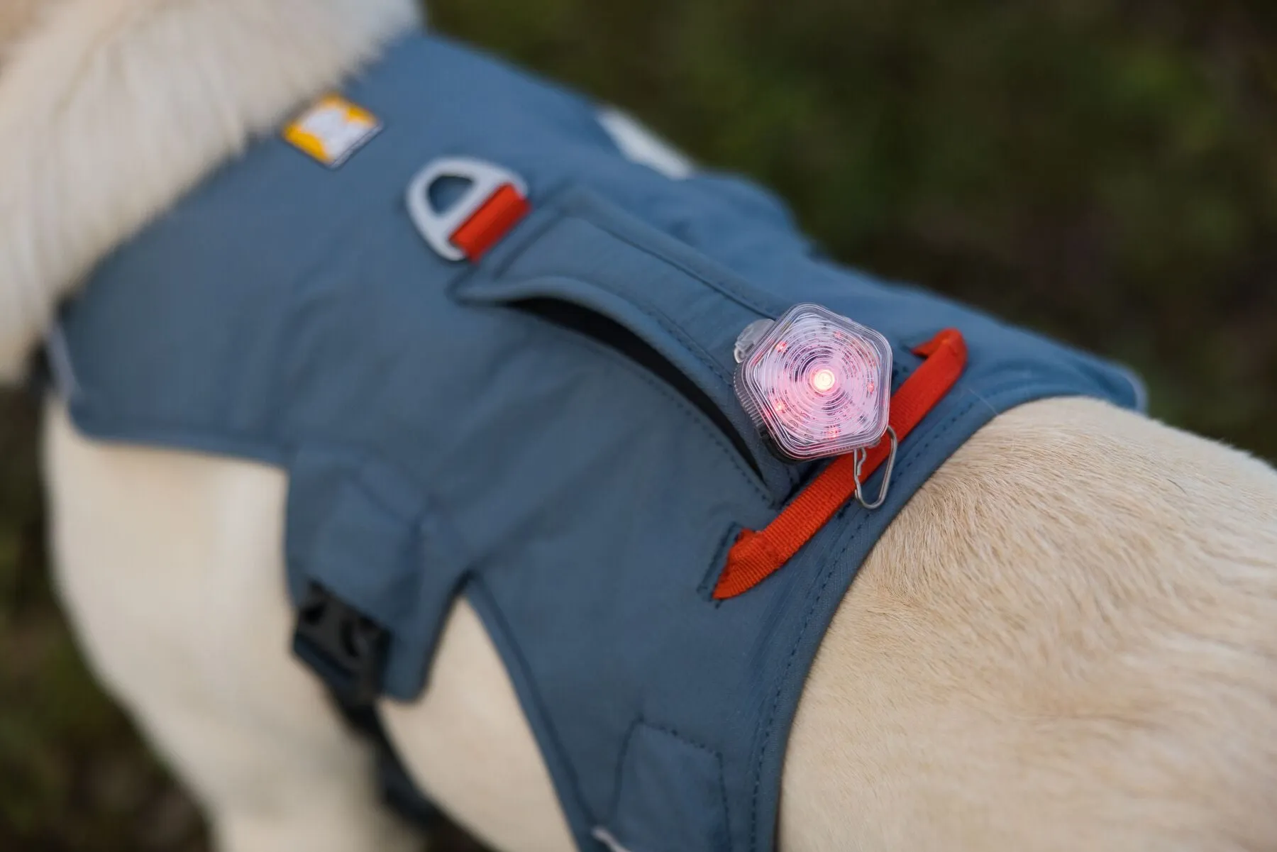 Ruffwear Web Master Harness