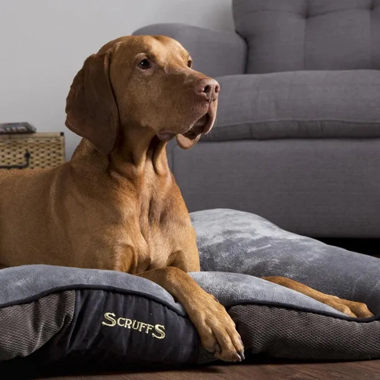 Scruffs Chester Dog Mattress - Graphite - Large