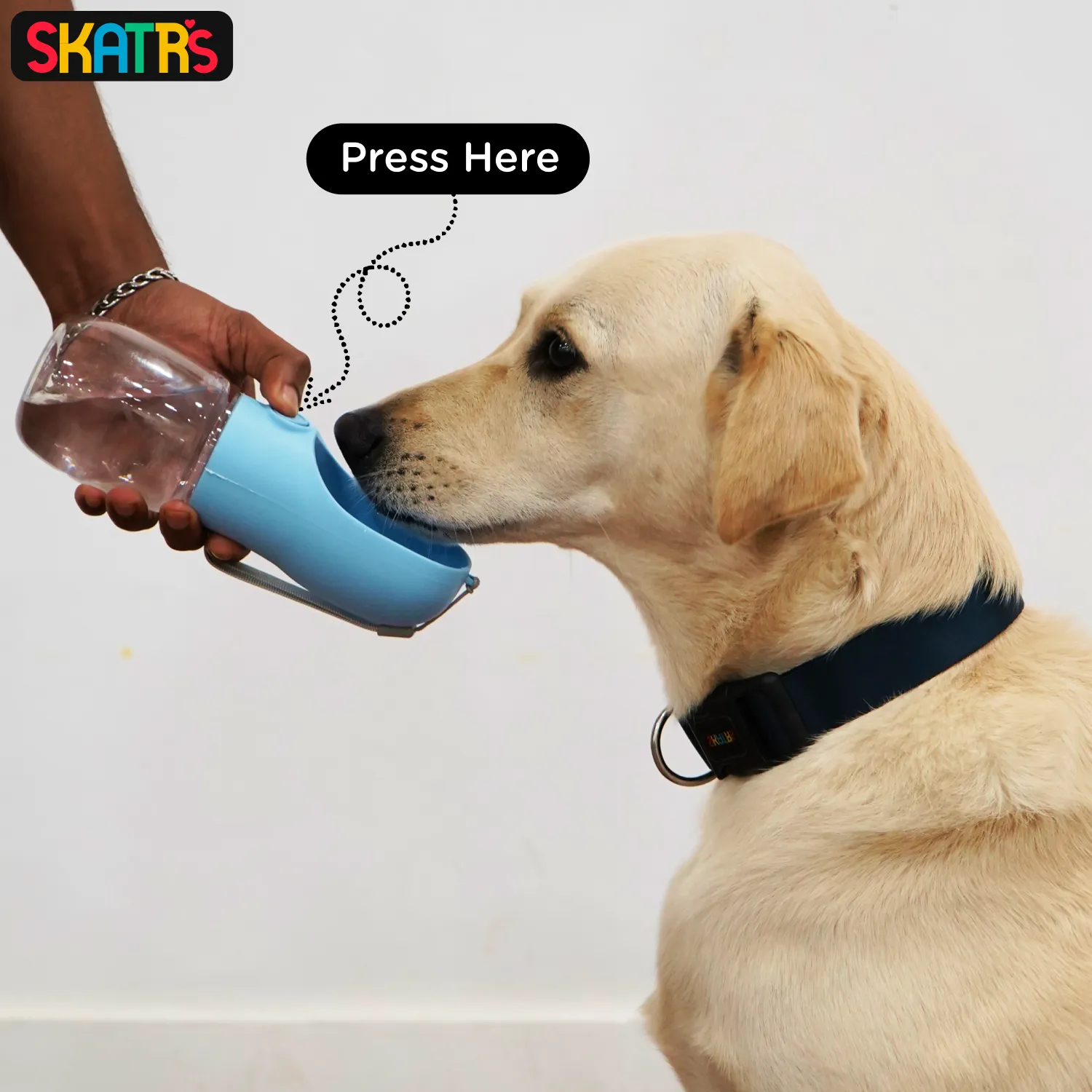 Skatrs Water Bottle for Dogs and Cats (Blue)