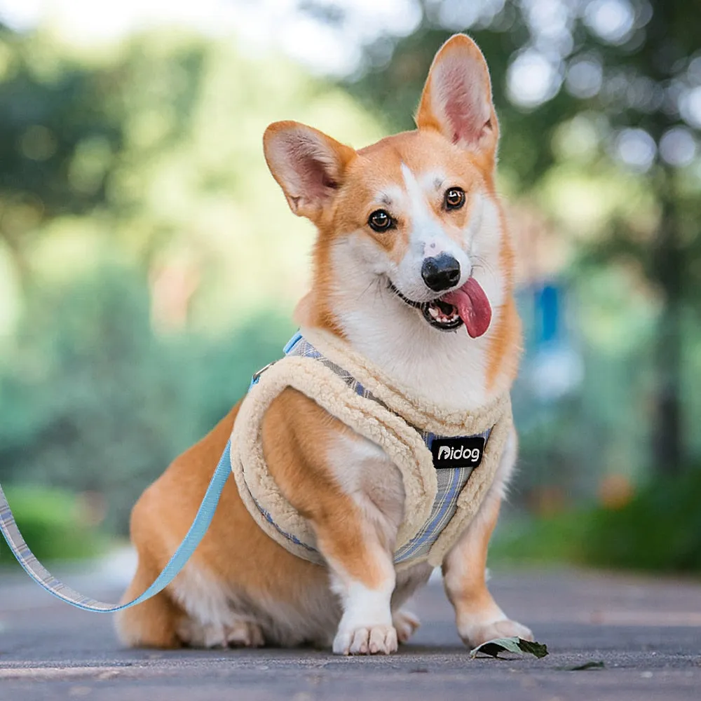 Small Dog Cotton Winter Harness Vest and Leash Set