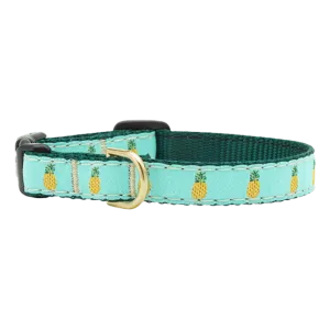 Teacup Collar | Pineapple