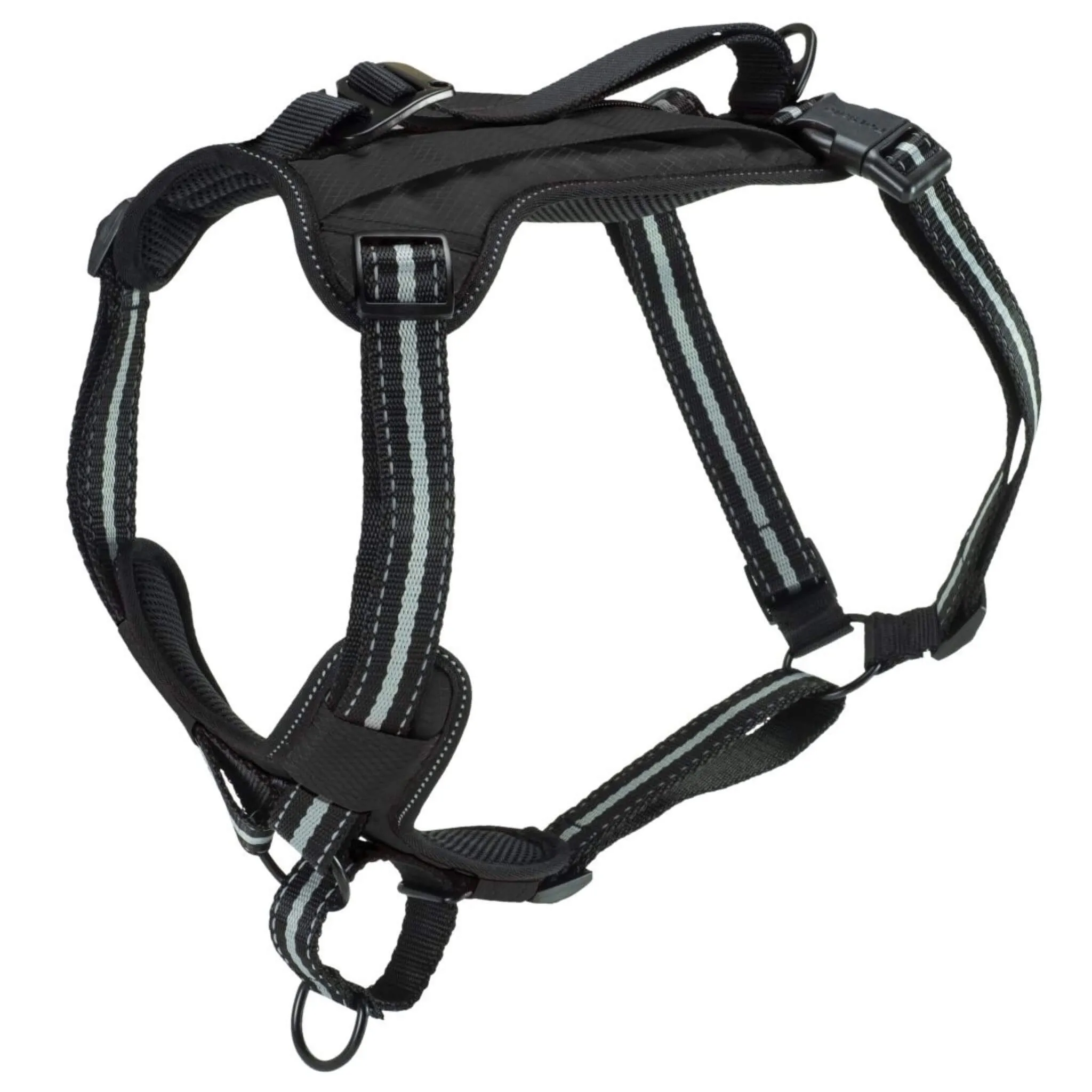 Walk-Along Outdoor Dog Harness