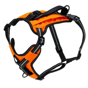 Walk-Along Outdoor Dog Harness