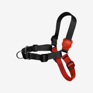 Zee.Dog Soft-Walk Harness Fatboy M